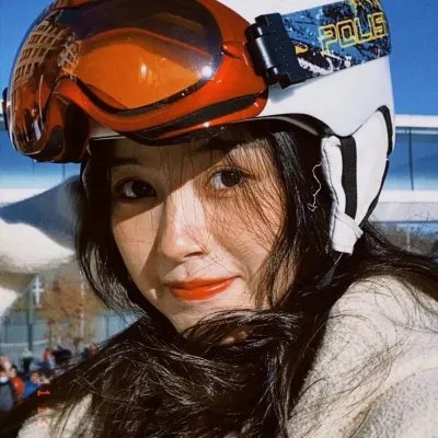 暴风雪中的白鸟