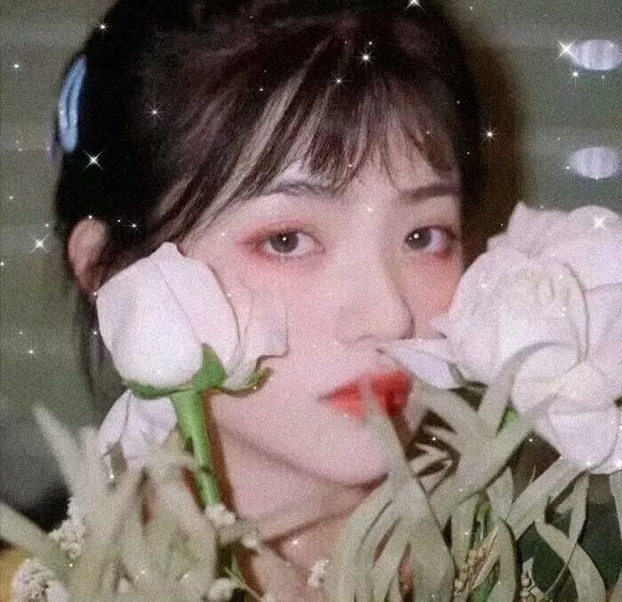 我复仇,你付钱